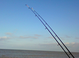 Fishing with two rods